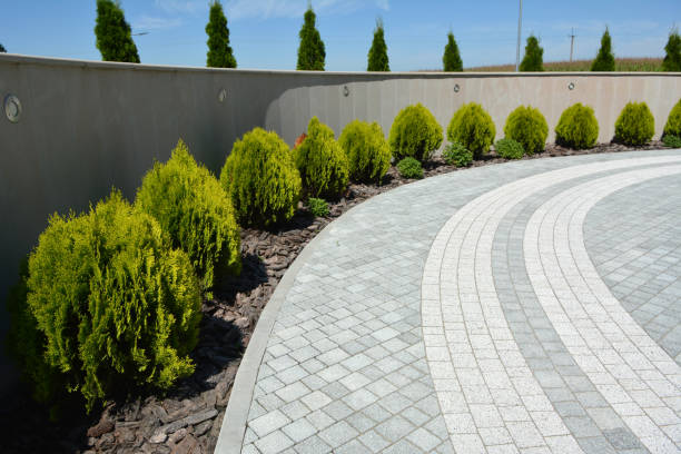 Best Driveway Pavers Near Me  in Ripon, CA